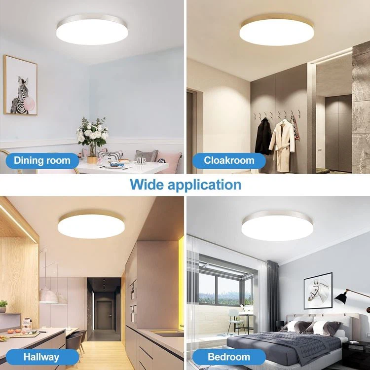 18w ip54 Ceiling light