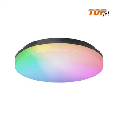 Color-changing Ceiling Light