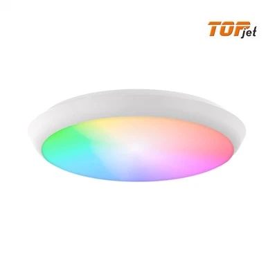 RGB WIFI 30W Ceiling Light