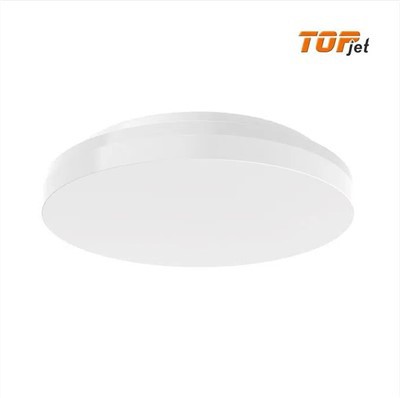 Round Flush Ceiling Light