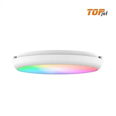 Smart Alexa Ceiling Light
